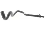 V104663 - : Radiator Hose for Vaico Image