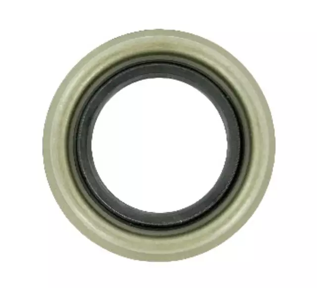 18136 - Transmission &amp; Drivetrain: Differential Pinion Seal for SKF Image
