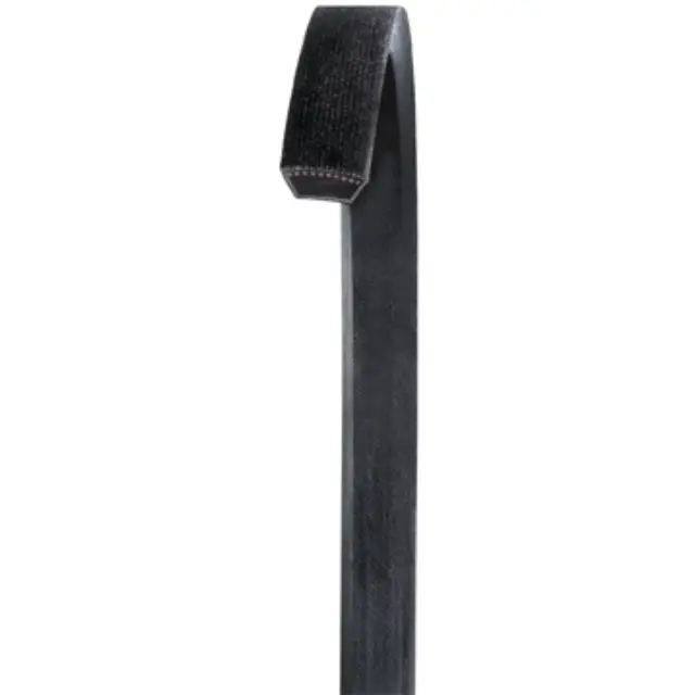 4L570 - : Accessory Drive Belt for DAYCO HYDRAULIC Image