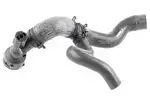 V104662 - : Radiator Hose for Vaico Image