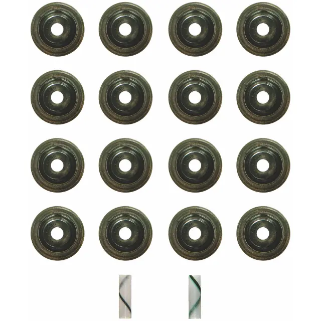 SS72893 - Gaskets: Engine Valve Stem Oil Seal Set for FEL-PRO Image