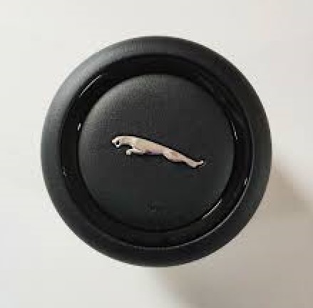 T2R18498PVJ - Electrical: Steering Wheel Air Bag for Jaguar Image