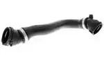 V202133 - : Radiator Hose for Vaico Image