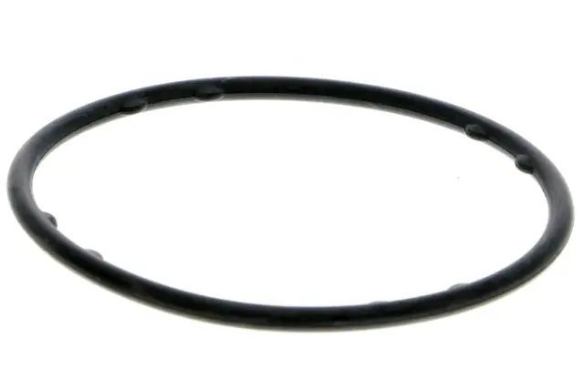 V1050099 - : Water Pump for Vaico Image