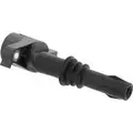 2IGC0143 - : Ignition Coil for HOLSTEIN Image