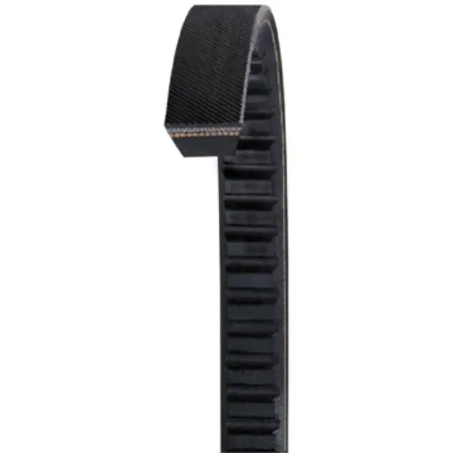 BX113 - : Accessory Drive Belt for DAYCO HYDRAULIC Image