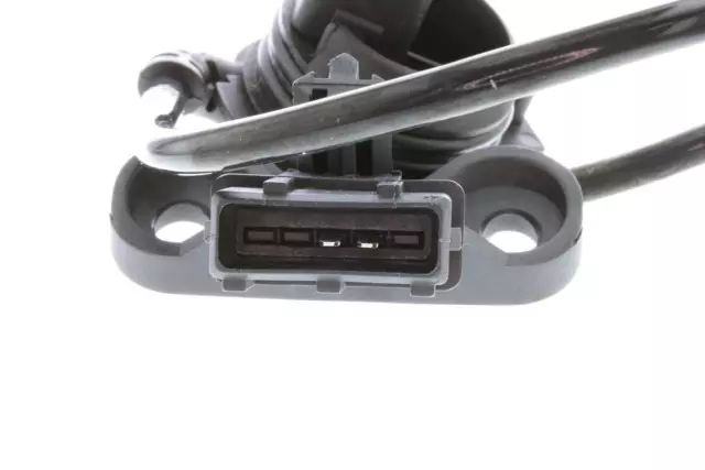 V10730141 - Interior: Back Up Light Switch for VEMO Image