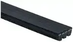K030301SF - : Gates Serpentine Belt for Gates Image