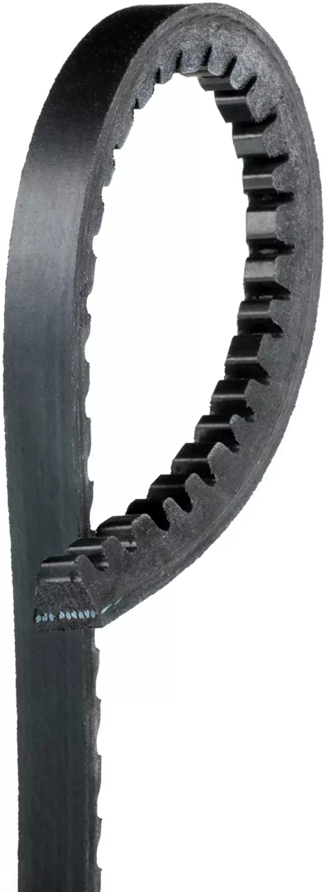 7365 - Engines &amp; Components: Gates Accessory Drive Belt for Gates Image