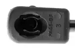 V101987 - : Gas Spring, bonnet for Vaico Image