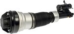 949982 - : Air Suspension Air Strut Assembly for Mercedes-Benz: S430, S500 Image