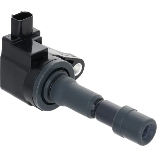 2IGC0438 - : Ignition Coil for HOLSTEIN Image