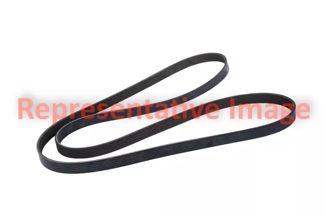 7PK1175 - : Bando Accessory Drive Belt for Bando Image