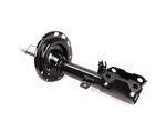 4853080498 - Suspension: Suspension Strut for Lexus Image