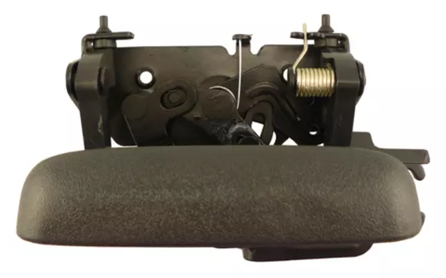 60209 - Exterior: Tailgate Handle for ACI Image