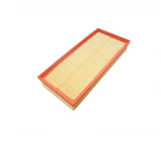 LR161843 - Engine: Air Filter for Land-Rover Image