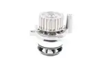 V10500621 - : Water Pump for Vaico Image
