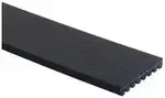 K081294 - : Gates Serpentine Belt for Gates Image
