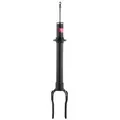 3417504 - : Suspension Strut for KYB Image