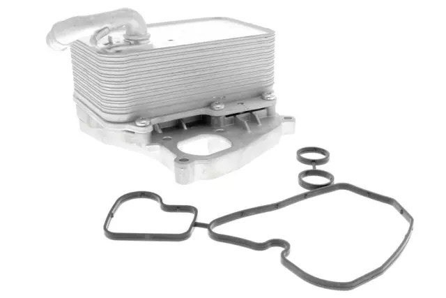 V15606070 - Cooling Systems: Engine Oil Cooler for VEMO Image