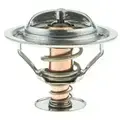33878 - Belts and Cooling: Gates Engine Coolant Thermostat for Gates Image