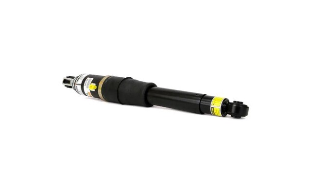 19368463 - Suspension: Shock for GM Image