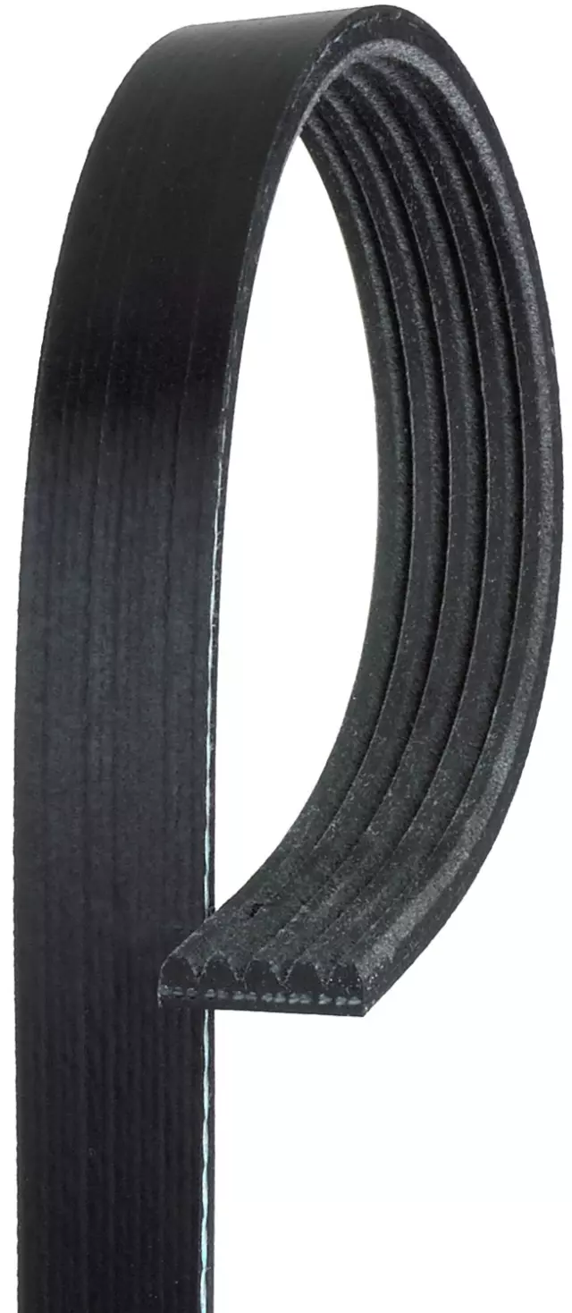 K050565 - Engines &amp; Components: Gates Serpentine Belt for Gates Image