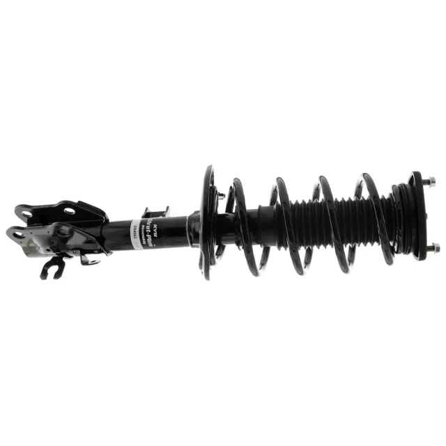 SR4563 - : Suspension Strut and Coil Spring Assembly for KYB Image