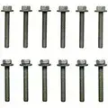 ES72169 - : Engine Intake Manifold Bolt Set for FEL-PRO Image