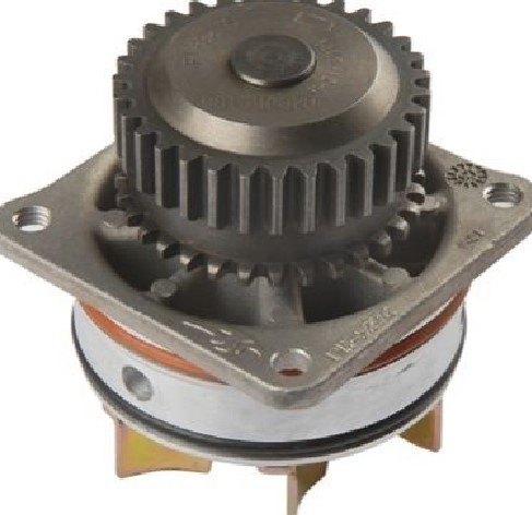 B10107Y01A - Cooling System: Water Pump Assembly for Nissan Image