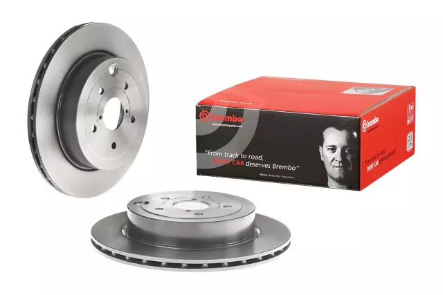 9A19811 - : Disc Brake Rotor for Brembo Image