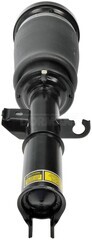 949964 - : Air Suspension Strut Assembly for BMW: X5 Image