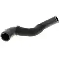 V303149 - : Radiator Hose for Vaico Image