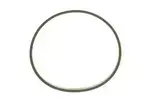 V48810009 - : Fuel Injection Throttle Body Mounting Gasket for VEMO Image