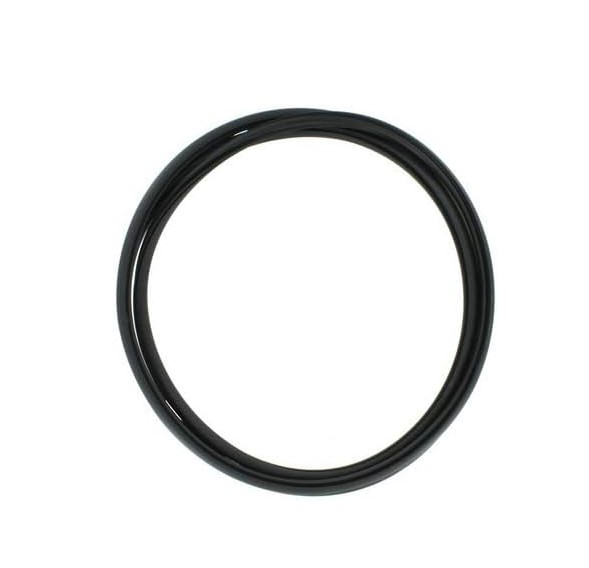 XR841581 - Body: Glass Panel Seal for Jaguar Image