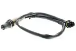 V20760067 - : Oxygen Sensor for VEMO Image