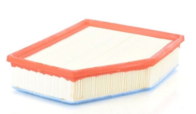 13718577170 - Engine: Air Filter for BMW Image
