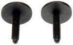 961044D - : Splash Shield Retainer With Washer - M4.2 x 25mm for Dorman Image