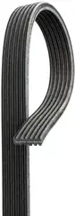 DK081254 - : Gates Serpentine Belt for Gates Image