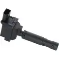 2IGC0463 - : Ignition Coil for HOLSTEIN Image