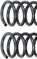 929920 - : Heavy Duty Coil Spring Upgrade - 35 Percent Increased Load Handling for Ram: 1500 Image