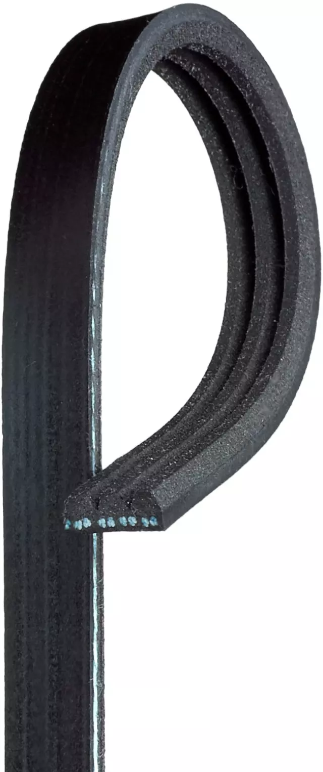 K030196SF - Engines &amp; Components: Gates Serpentine Belt for Gates Image