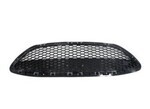 D2BZ17E810CA - : Upper Grille for Ford Image