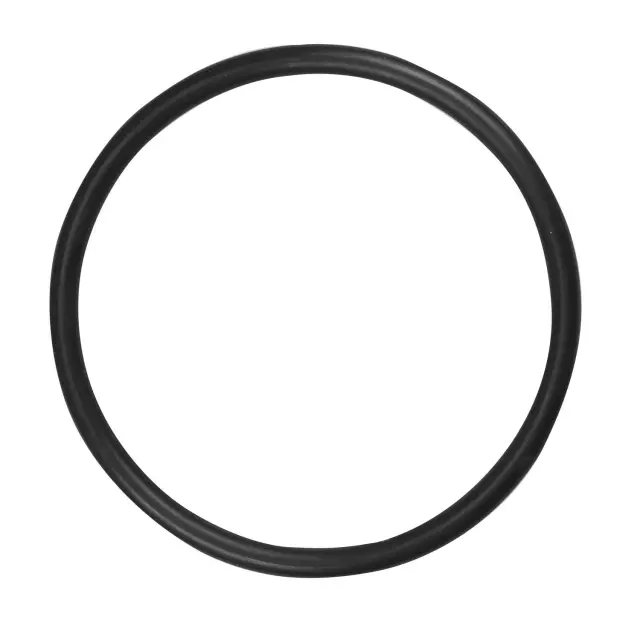 LO119 - : Premium Fuel Pump Tank Seal for Spectra Premium Image