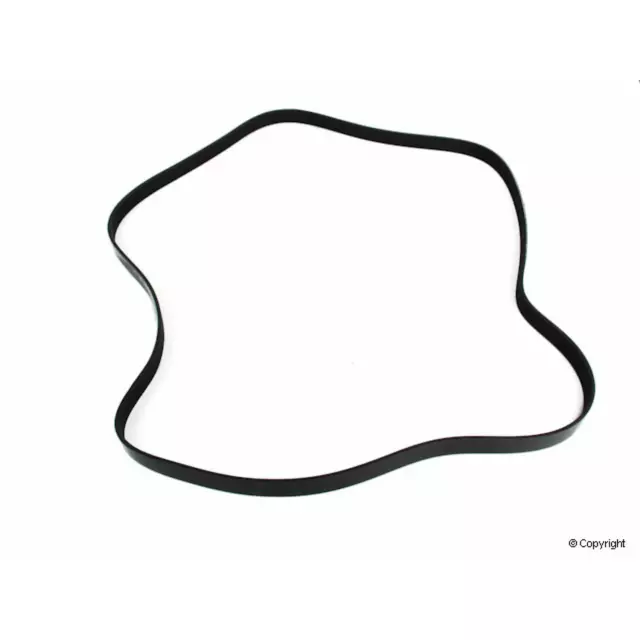 7PK2164 - : Bando Accessory Drive Belt for Bando Image