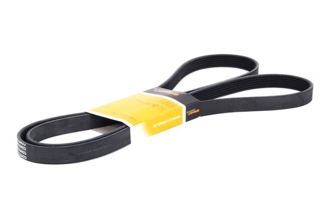 99610215168 - Maintenance &amp; Lubrication: Serpentine Belt for Porsche Image