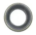 15553 - : Drive Axle Shaft Seal for SKF Image