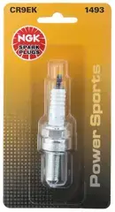 Spark Plug - NGK (1493)