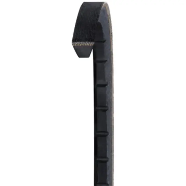 5VX800 - : Accessory Drive Belt for DAYCO HYDRAULIC Image