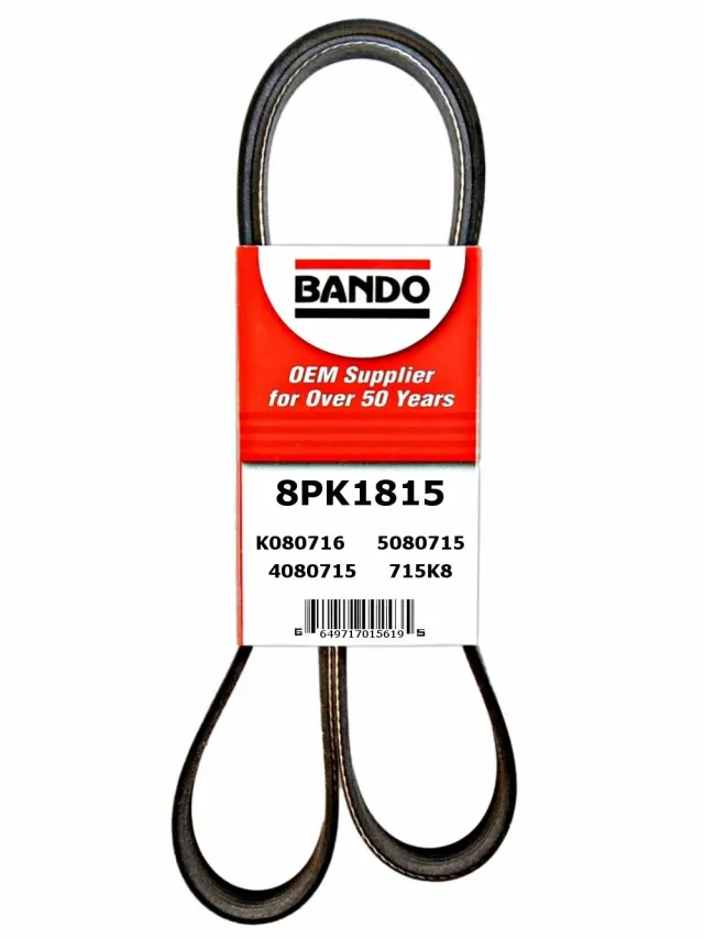 8PK1815 - : Bando Accessory Drive Belt for Bando Image